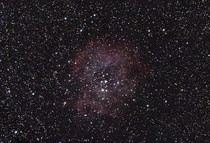 Reprocessed Image of the Rosette Nebula in a Bortle  Zone 