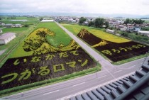 Rice paddy art Inakadate Japan  