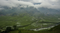 Rice terraces in Sapa Vietnam 