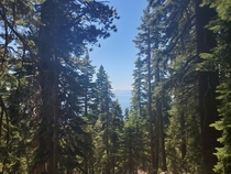 Rifle Park Trail NV with a peak of Lake Tahoe in the distance OC  x 