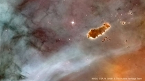 Right now NASAs Chandra is collecting light in Carina Nearby in the sky is the Caterpillar a dark cloud of gas amp dust in space known as a Bok Globule Bok Globules can act like cocoons to star embryos within protecting them during metamorphosis until the