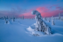 Riisitunturi national park Finland OC kerttukphotos