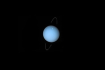 Rings Around Uranus