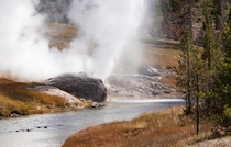 Riverside geyser throwing some shade  Yellowstone NP