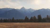 Rocky Mountain - British ColumbiaAlberta border Cranbrook BC  x m