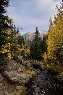 Rocky Mountain National Park aspen colors days before the fires closed the park OC 