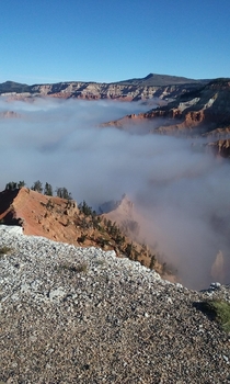 Rolling Fog at Cedar Breaks National Monument UT  x
