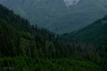Rolling hills and dense forester Cascade mountains 
