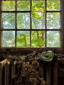 Rotary phone at an abandoned psych ward