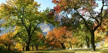 Royal Garden of Hunza With The Glimpse of Autumn 
