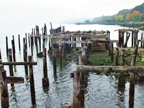 Ruins of a dock on the Tacoma waterfront