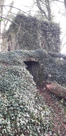 Ruins of the Ice House at Moydrum Castle Co Westmeath Ireland of  tunnel entrance to the ice pit