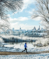 Running in perfect winter scenery