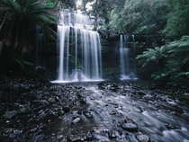 Russell Falls Mount Field National Park Australia 