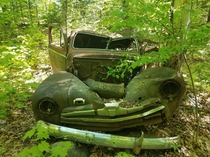 Rusty Old Ford in the Woods 