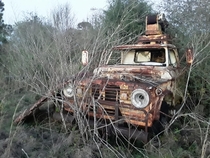 s Dodge D rusting away near Showboat Drive-In Theater