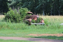 s Studebaker rusting away in a Minnesota farm field 