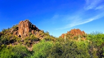 Saguaro National Park West Tucson Az 