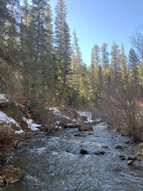 San Antonio stream in the Jemez mountains of northern New Mexico 
