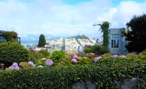 San Francisco as seen from Lombard Street