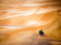 Sand Waves Dubai desert photo by Mark Seabury 