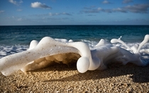 Sea Foam  - Stuart Gibson - National Geographic  Photography Contest