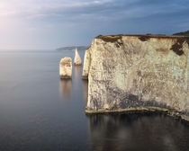 Seeds of Time Old Harry Rocks in the Morning Dorset United Kingdom 