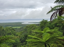 Seeing the vast beauty of the Daintree Rainforest Australia via the Mount Alexandra lookout 