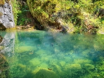 Sekovici - RS Bosnia and Herzegovina  Crystal clear water
