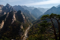 Seoraksan National Park  South Korea during peak foliage  