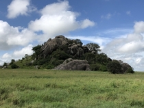 Serengeti National Park Tanzania 
