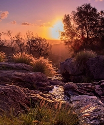 Serenity Sunset in the hills of Perth Western Australia OC x