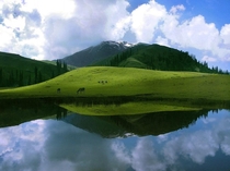 Sheosar Lake Deosai National Park Pakistan 