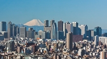 Shinjuku and Mount Fuji 