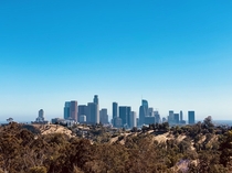 Shot of downtown LA from Elysian Park