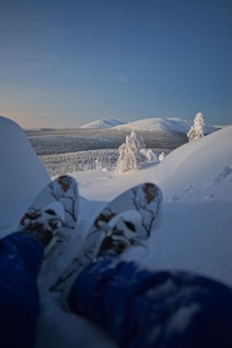 Showshoeing in Lapland 