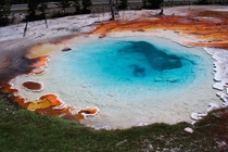 Silex Spring in Yellowstone during this past summer 