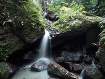 Silken Waterfall in El Yunque Rainforest 