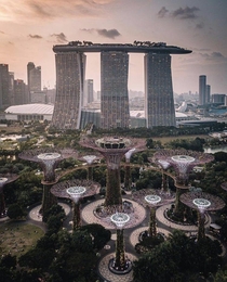 Singapore Singapore
