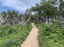 Skyline Trail - Cape Breton Highlands National Park Nova Scotia