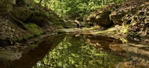 Small reflective creek waters at the Nelson Kennedy Ledges Park Ohio 