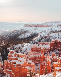 Snow-covered hoodoos in Bryce and SO COLD  OC cbyeva 