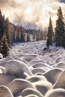 Snow covered stones in Vitosha National Park Bulgaria 