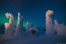 Snow-covered trees under the beautiful night sky filled with bright stars a green aurora and streaks of orbiting satellites The image credit goes to Pierre Destribats