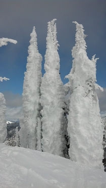 Snow Ghosts at Whitefish Mountain Resort MT 