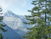 Snow in the Olympic Mountains Washington 