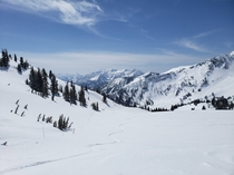 Snowbird Ski Resort Utah 