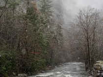 Snowfall in The Great Smoky Mountains National Park 