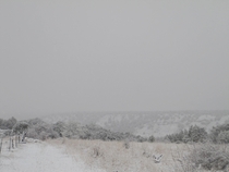 Snowfall near Hotchkiss CO 