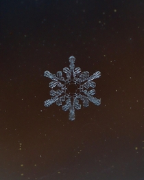 Snowflake stuck on the glass 